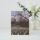 In Arlington National Cemetary Briefkaart (Staand voorkant)