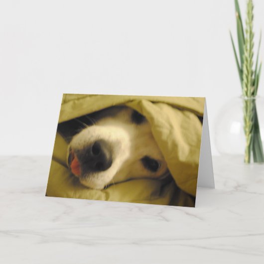 In bed blijven tot dinsdag kaart (Voorkant)