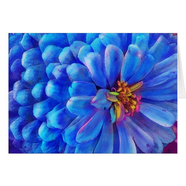 In blauw, Zinnia-kaart, bloem (Voorkant Horizontaal)