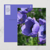 In blauwe bloemenfotografie briefkaart (Voorkant / Achterkant)