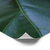 In Bloom Poster (Hoek)