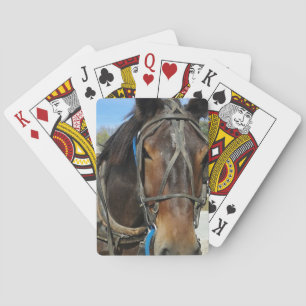 In de bibliotheek, Amish Horse en Buggy Pokerkaarten