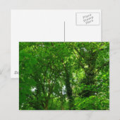 In de bomen briefkaart (Voorkant / Achterkant)