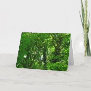 In de bomen kaart