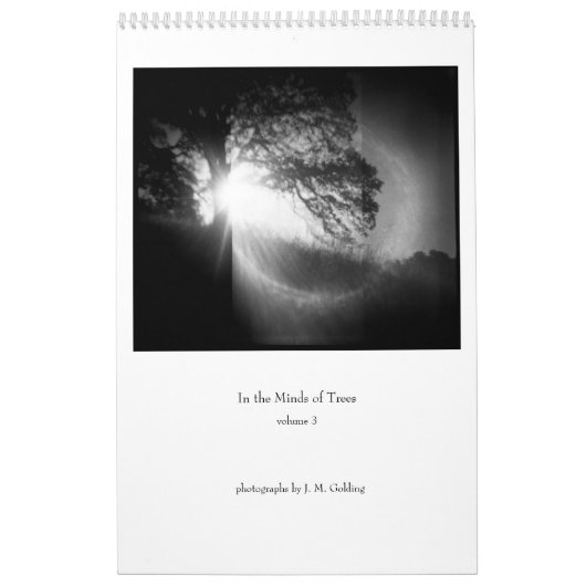 In de bomen, volume 3 kalender (Hoes)