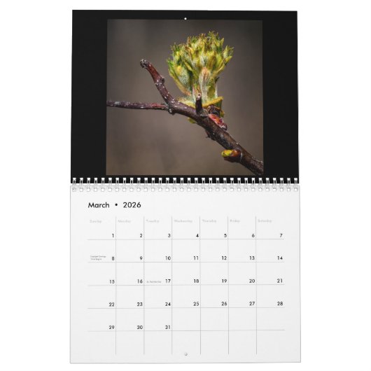 In de Bossen 12-maands kalender (Mar 2026)