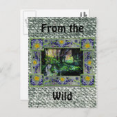 In de Bossen Briefkaart (Voorkant / Achterkant)