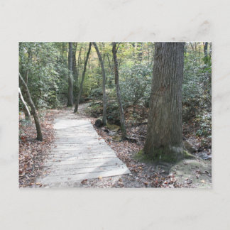 In de Bossen Briefkaart