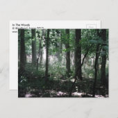 In de Bossen Briefkaart (Voorkant / Achterkant)