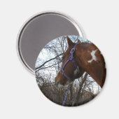 In de Bossen die ik zie Magneet (Voorkant / Achterkant)