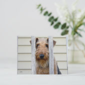"In de Doghouse" Briefkaart (Staand voorkant)
