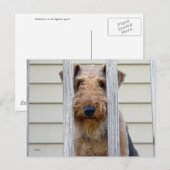 "In de Doghouse" Briefkaart (Voorkant / Achterkant)