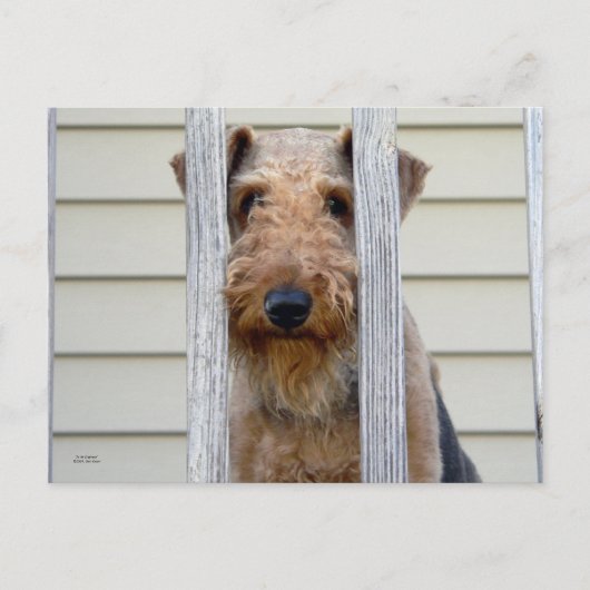 "In de Doghouse" Briefkaart (Voorkant)