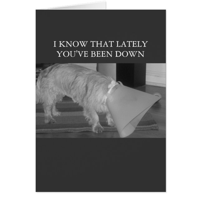 in de dumpen (Voorkant)