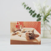 In de gootsteenkaart van het Kat Briefkaart (Staand voorkant)