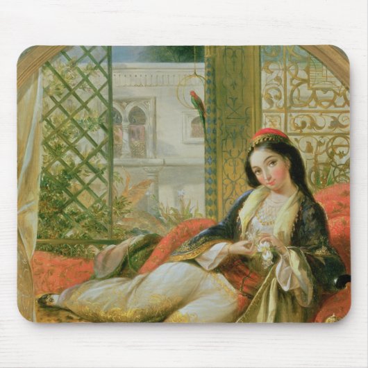In de Harem Muismat (Voorkant)