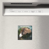 In de hemelmagneet magneet (Insitu (Vaatwasser))