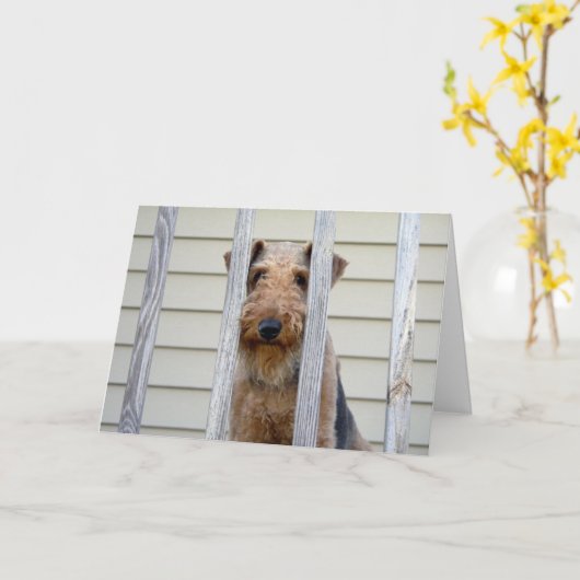 In de Kaart van het Hondehok (Gele Bloem)