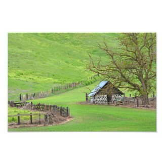 In de knol. foto afdruk