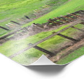 In de knol. foto afdruk (Hoek)