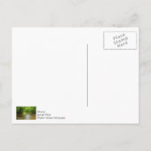 In de kreek briefkaart (Achterkant)