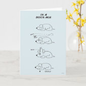 In de leeftijd van een hond kaart (Gele Bloem)