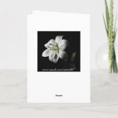 In de Lily Birthday Kaart (Achterkant)