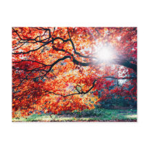 IN DE MAGISCHE KLEUREN VAN HET HERFST BRIEFKAART