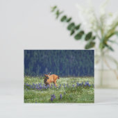 In de Meadow Briefkaart (Staand voorkant)