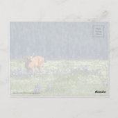 In de Meadow Briefkaart (Achterkant)