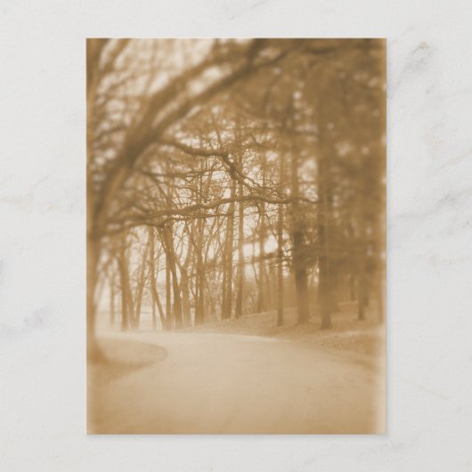 In de mist - Briefkaart (Voorkant)