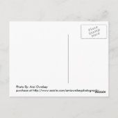 In de nacht briefkaart (Achterkant)