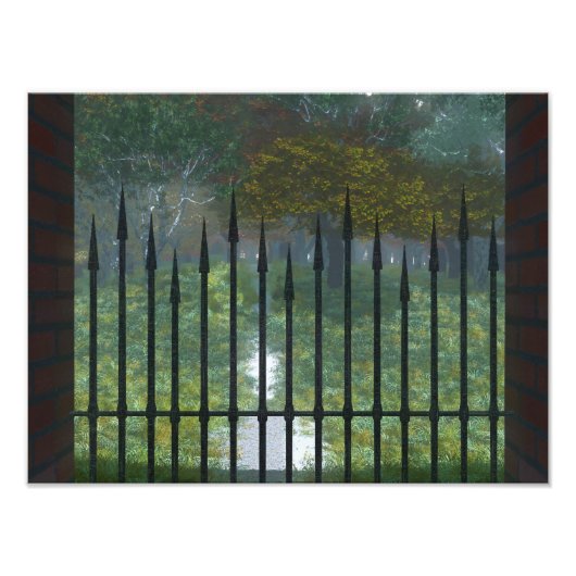 In de Oude Bosfoto Foto Afdruk (Voorkant)