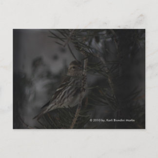 In de pine briefkaart