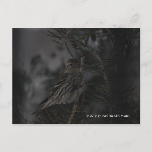 In de pine briefkaart (Voorkant)