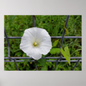 in de regen poster (Voorkant)