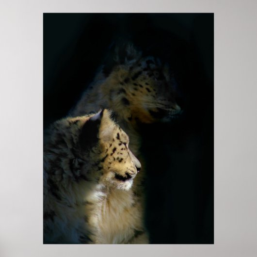 In de schaduw poster (Voorkant)