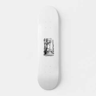 In de schaduw van de bossen skateboard