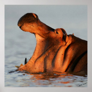In de schemering Hippopotamus Portrait Poster