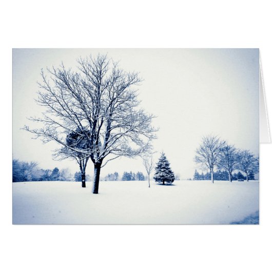 In de sneeuw (Voorkant Horizontaal)