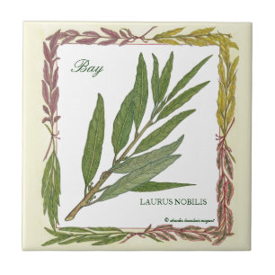 In de tuin ~ Bay Leaf Tile Tegeltje