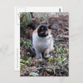 In de tuin - Briefkaart (Voorkant / Achterkant)