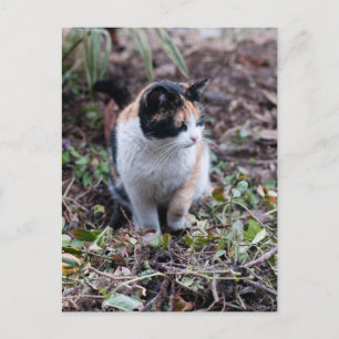 In de tuin - Briefkaart