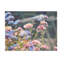 In de Tuin van de Lente