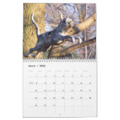 in de tuin van mijn zus 2010 kalender (Mar 2026)