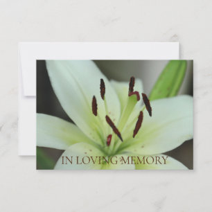 In de uitnodiging van de Loving Memory Memorial Se
