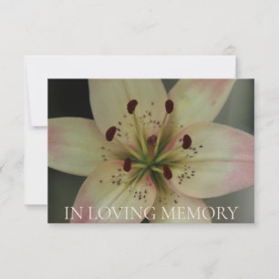 In de uitnodiging van de Loving Memory Memorial Se