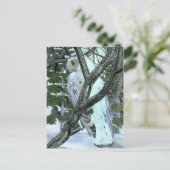In de Wilde Snowy Owl Briefkaart (Staand voorkant)