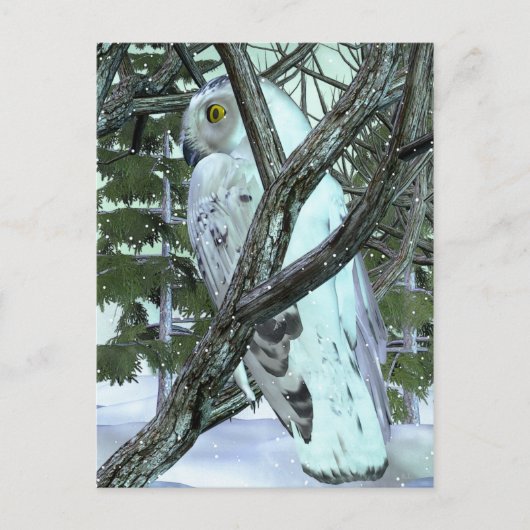 In de Wilde Snowy Owl Briefkaart (Voorkant)