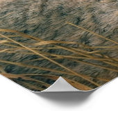 In de wind poster (Hoek)